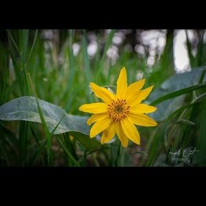 Meet your Posher, Kerri